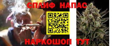 эйфоретик Тара