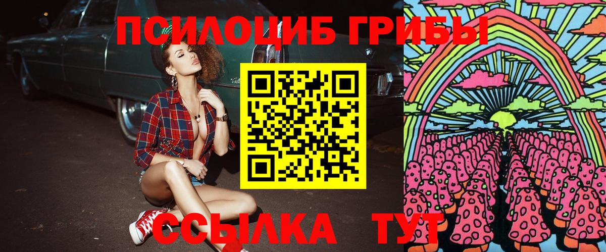 Псилоцибиновые грибы Psilocybine cubensis Нижний Новгород